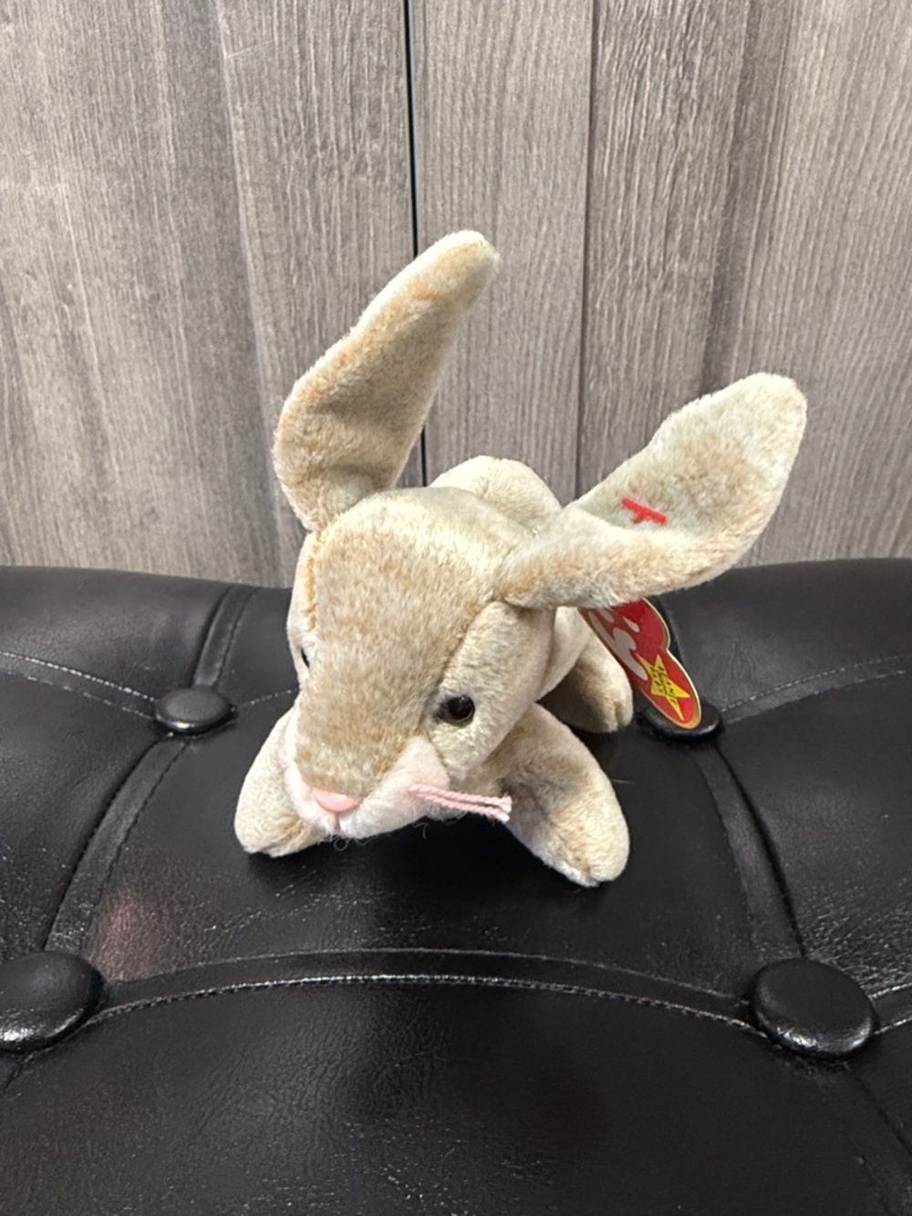 Retired Nibbly The Cottontail Bunny Rabbit Ty Beanie Babies Baby Original Tag